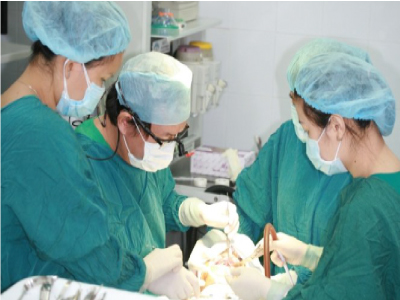 Cấy ghép răng cho bệnh nhân không răng bẩm sinh Cấy ghép răng cho bệnh nhân không răng bẩm sinh